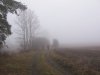 2014-03-01_e