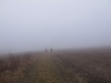 2014-03-01_f