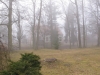 2014-03-01_j