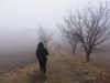 2014-03-01_n