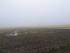 2014-03-01_u1