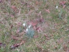 2014-03-01_w