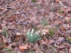 2014-03-01_w1