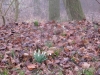 2014-03-01_w2