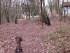 2014 03 23_g