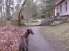 2014 03 23_g1