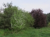 2014 04 26_a
