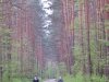 2014 04 26_d
