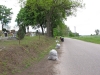 2014 05 10_r_b