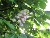 2014 05 10_w_l