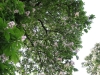 2014 05 10_w_m