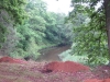 2014 06 04_a