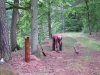 2014 06 04_b