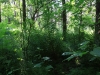 2014 06 07_d5
