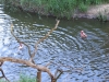 2014 06 10_ma4