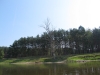 2014 07 27_f9