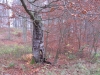 2014 11 15_e2