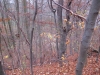 2014 11 16_b4