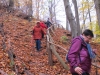 2014 11 16_c