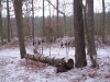 2014 12 27_g8