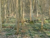2015 03 21_c1
