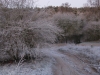 2016 12 31_a1a