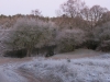 2016 12 31_a1b