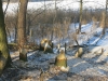 2017 01 28_a1z
