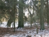 2017 01 28_a2b