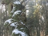 2017 01 28_a2e