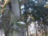 2017 01 28_a2h