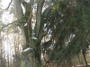 2017 01 28_a2i