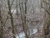 2017 02 18_a1a