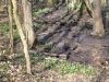 2012 03 24_1434