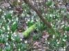 2017 03 18_a1f