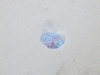 2018 02 24_a1y8n