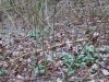2018 04 14_a1c