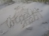 smoldzin-2020-130