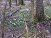 sniezycowy-jar-trzy-rzeki-2020-03-07-13