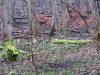 sniezycowy-jar-trzy-rzeki-2020-03-07-18