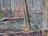 sniezycowy-jar-trzy-rzeki-2020-03-07-23
