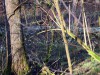 2020-03-08-sniezycowy-jar-monar-10