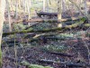 2020-03-08-sniezycowy-jar-monar-15
