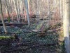 2020-03-08-sniezycowy-jar-monar-16