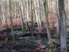2020-03-08-sniezycowy-jar-monar-18