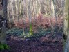 2020-03-08-sniezycowy-jar-monar-19