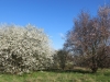 2015 04 18_a