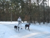 2011-02-27_3