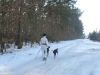 2011-02-27_4