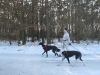 2011-02-27_9